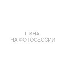 Шины Tunga 195/55R15 89Q Nordway 3 TL (110 шип.) Шины Tunga 195/55R15 89Q Nordway 3 TL (110 шип.)