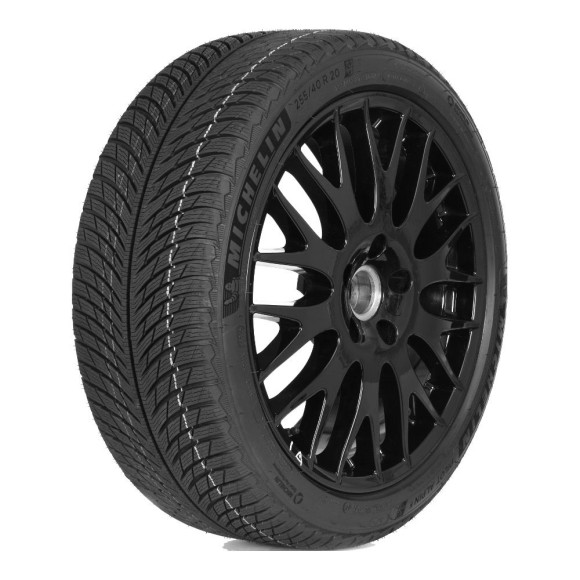 Шины Michelin  255/50/21  H 109 PILOT ALPIN 5 SUV  XL (BMW)  старше 3-х лет